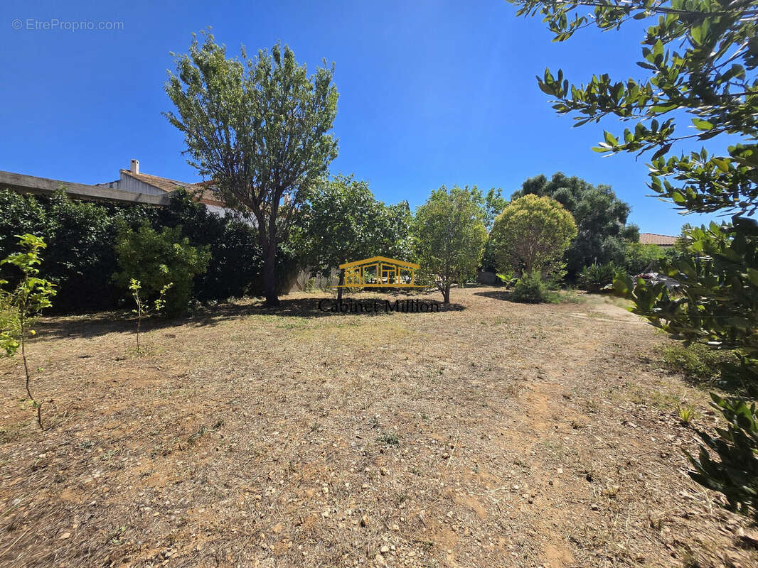 Terrain à VIC-LA-GARDIOLE