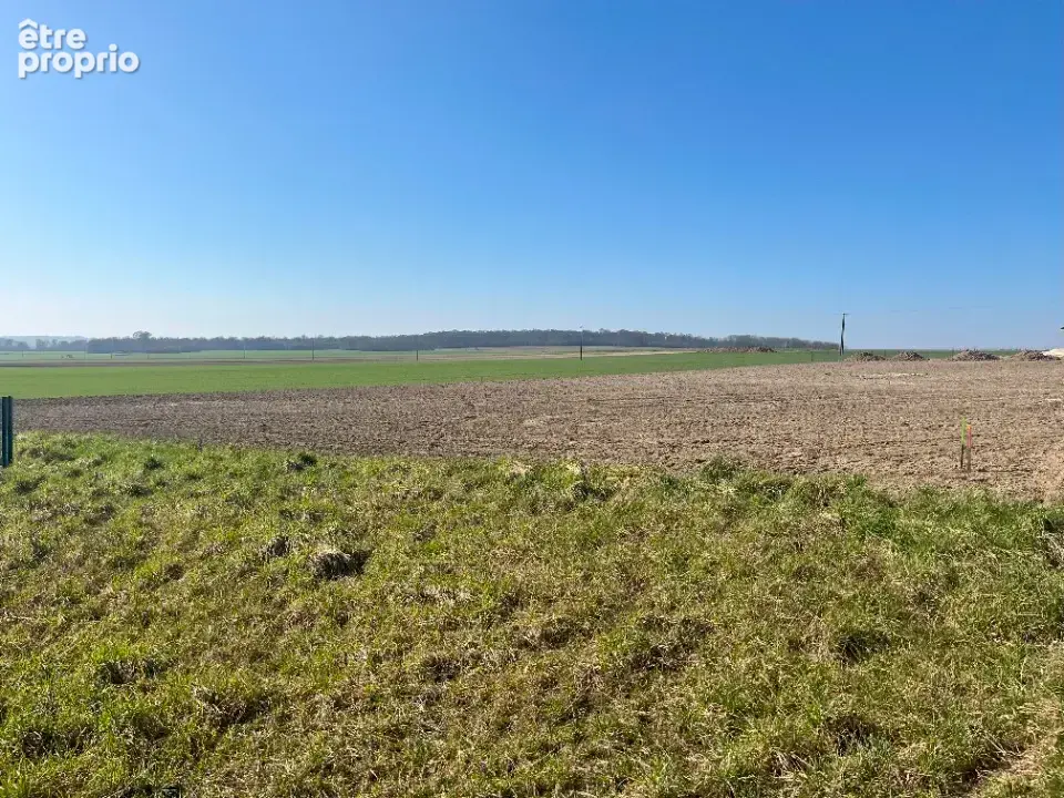 Terrain à HAUTE-AVESNES