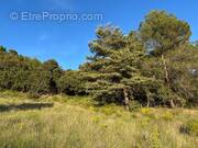 Terrain à BAUDINARD-SUR-VERDON