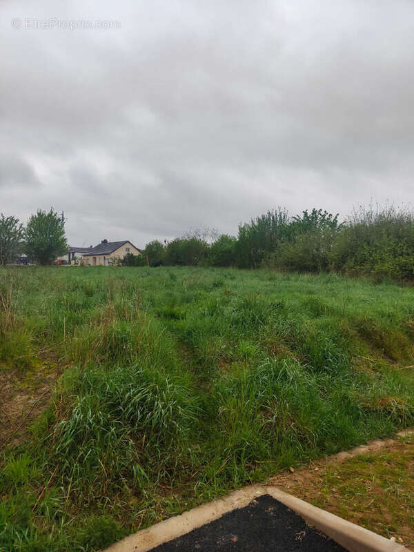 Terrain à SOMMERVILLER