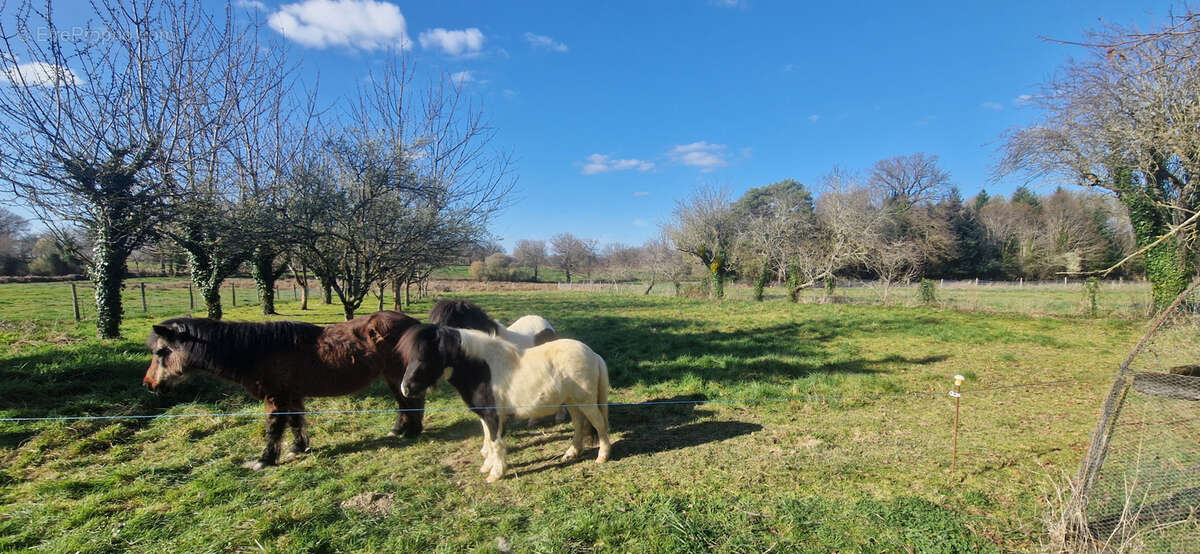 Maison à SIDIAILLES