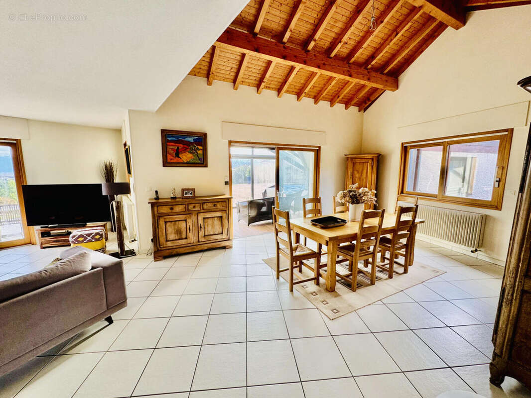 salon (7) - Maison à VETRAZ-MONTHOUX