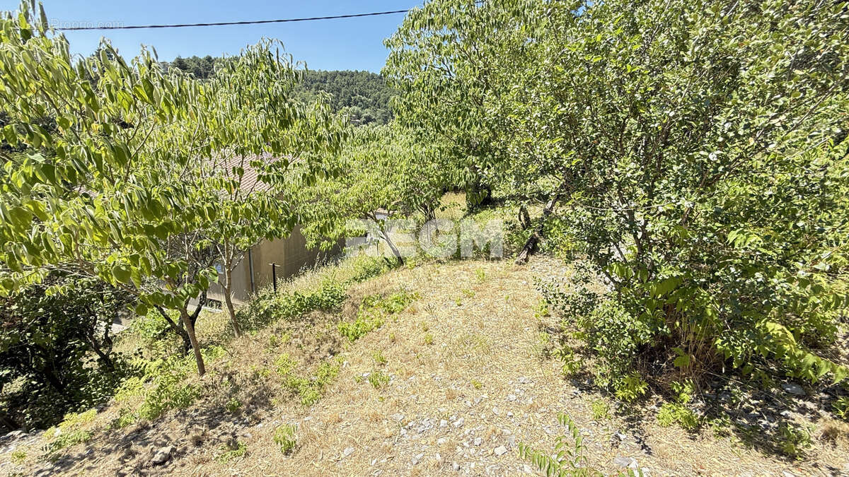 Maison 105 M2 avec mazets sur parcelle de 6000 M2 - photo 46