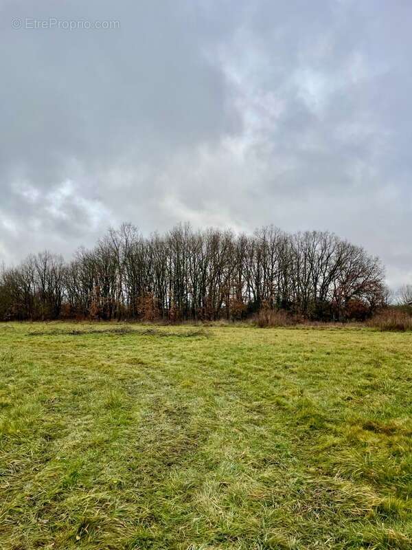 Terrain à bâtir viabilisé de 816 m² à Saint-Sardos (82) – proche Montech - photo 6