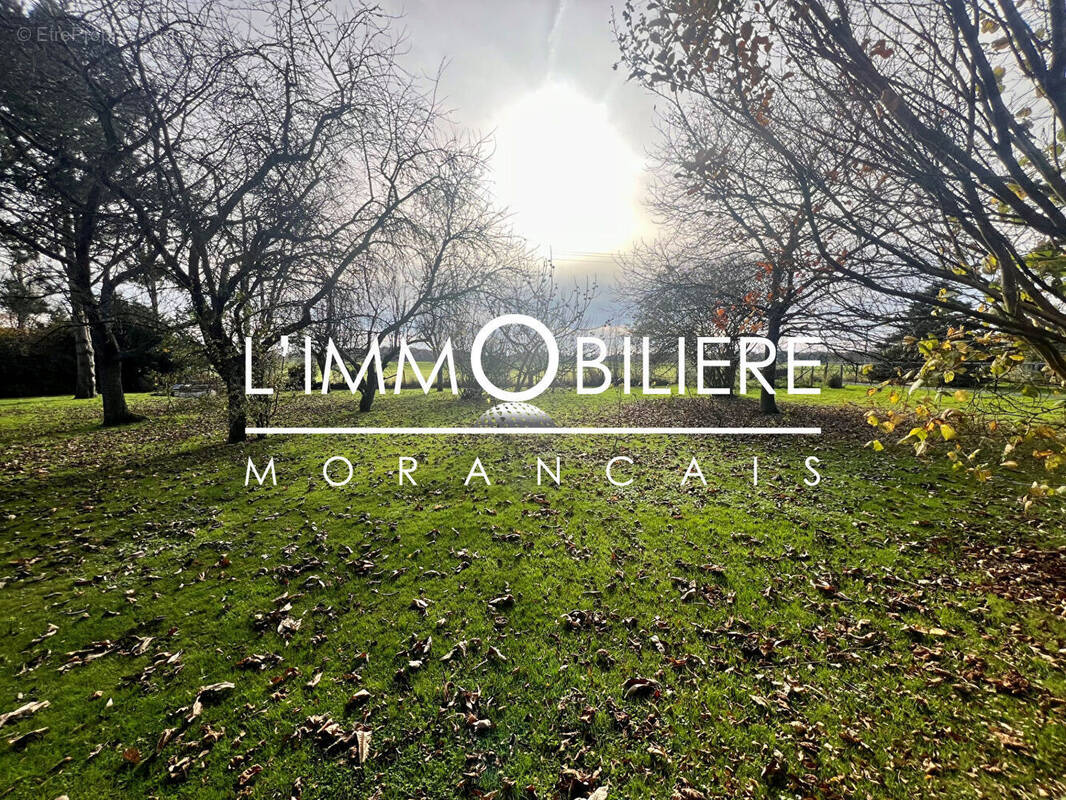 Terrain à ISNEAUVILLE