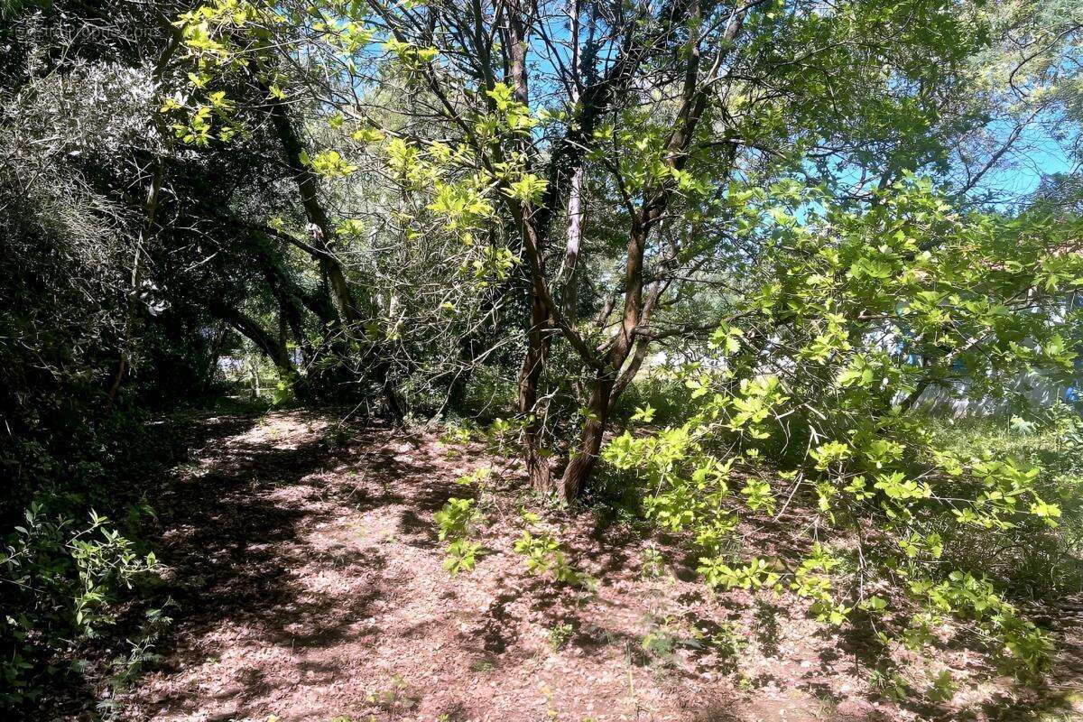 Maison à SAINT-GEORGES-D'OLERON