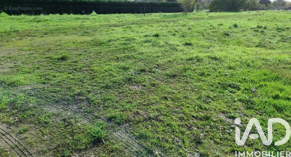 Photo 2 - Terrain à LAMOTHE-MONTRAVEL