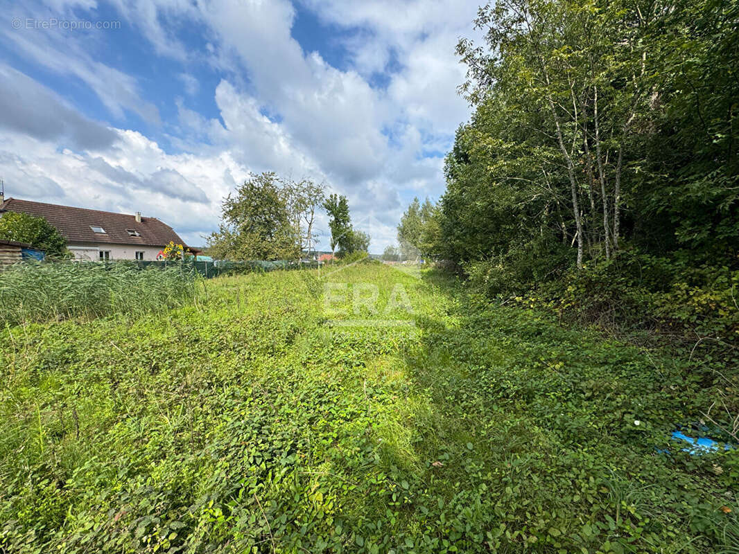 Terrain 1600m² à lure - photo 2