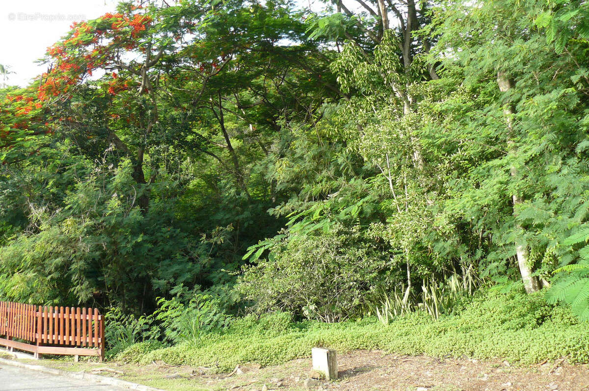 Terrain à BOUILLANTE