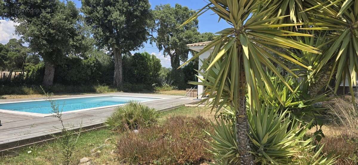 Très belle villa standing piscine - photo 14