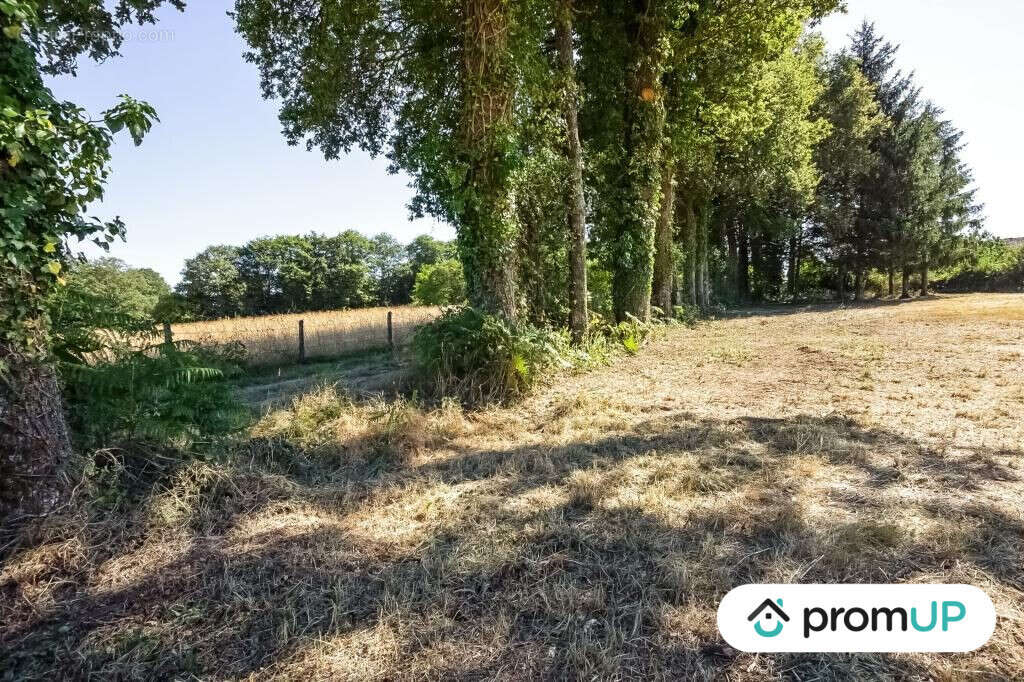 Terrain à SAINT-MAURICE-LA-SOUTERRAINE