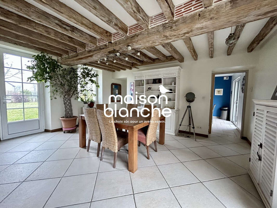 Maison à PELLOUAILLES-LES-VIGNES