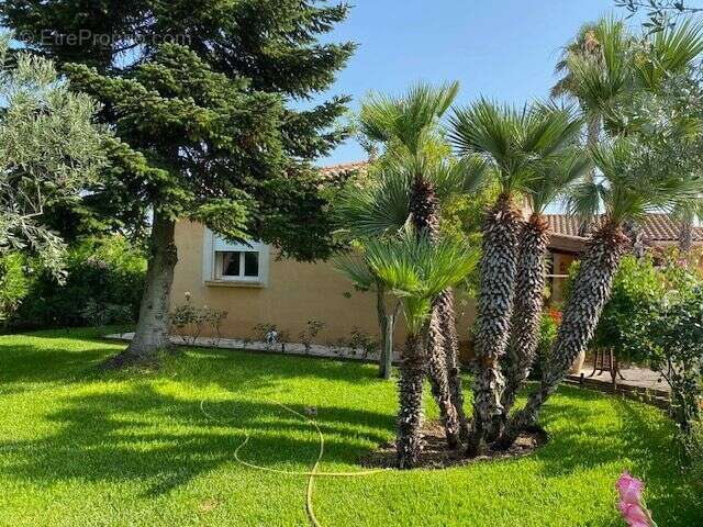 Maison à USCLAS-D'HERAULT