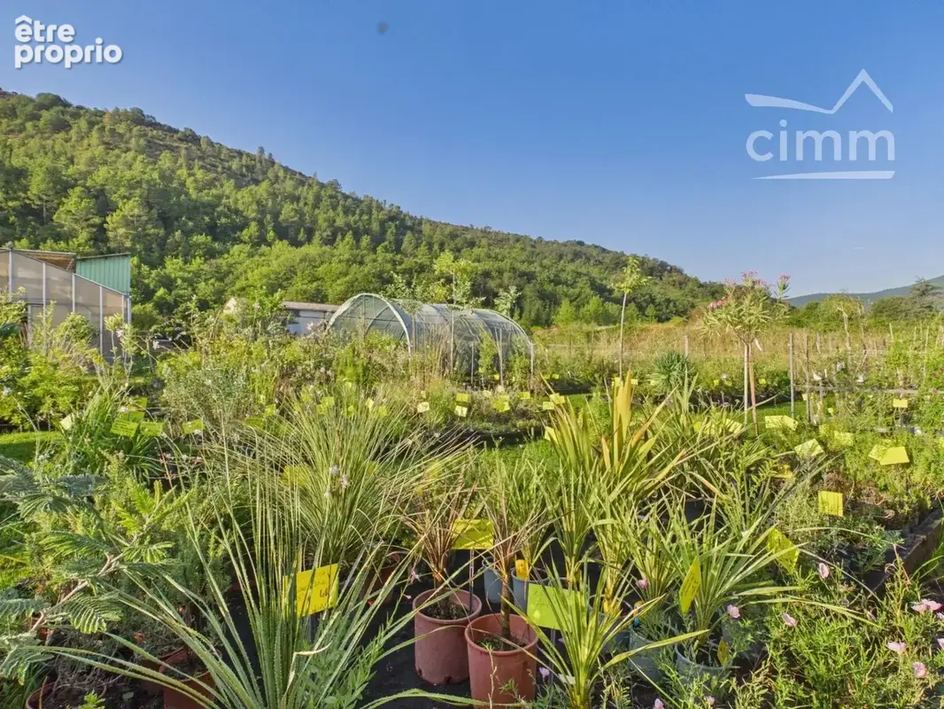 Jardinerie / Pépinière – Murs et Fonds de commerce – Sud Ardèche - photo 4