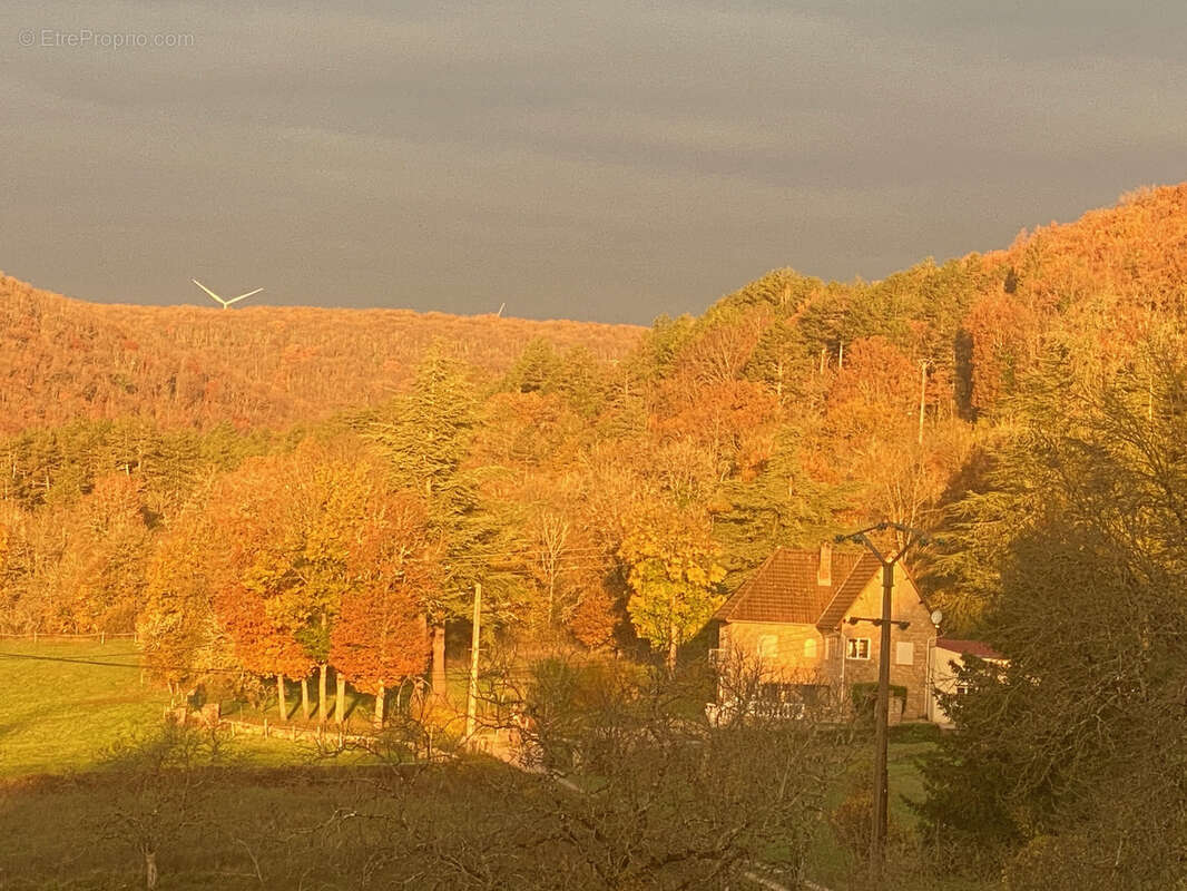 Maison à SAVIGNY-LES-BEAUNE