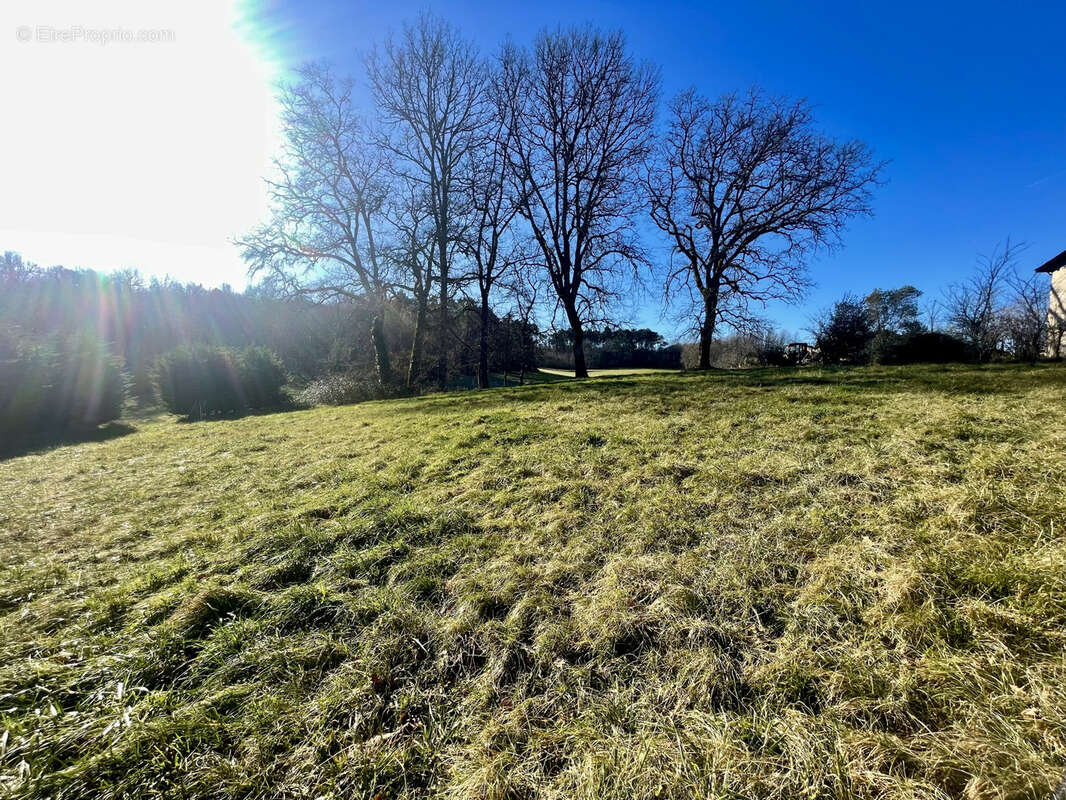 Terrain à BRANTOME