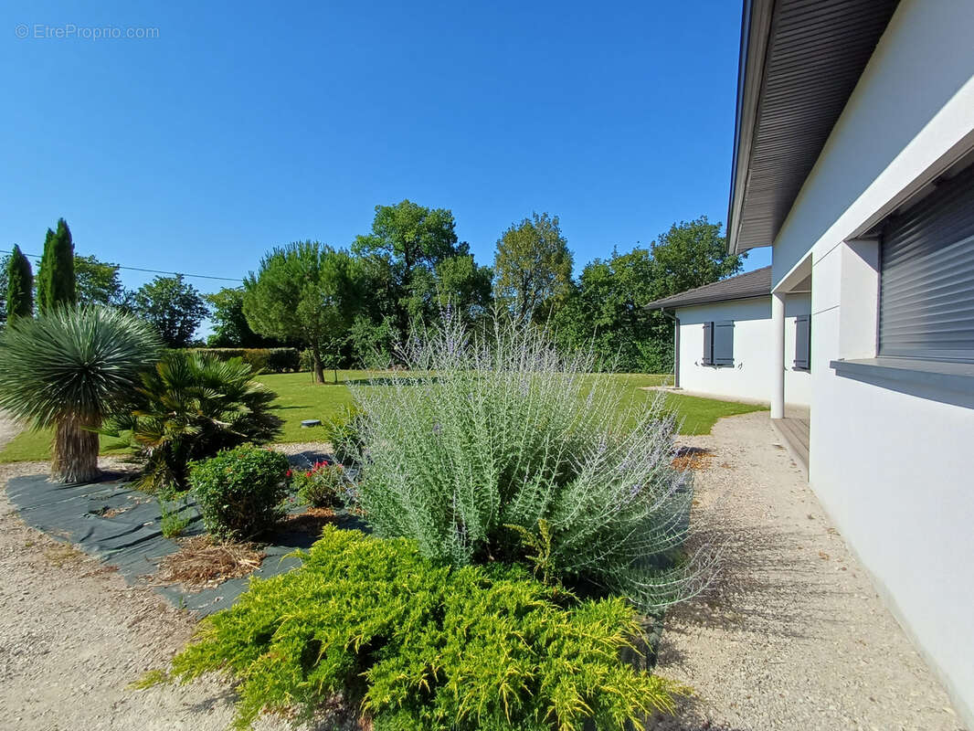 Maison à BARRO