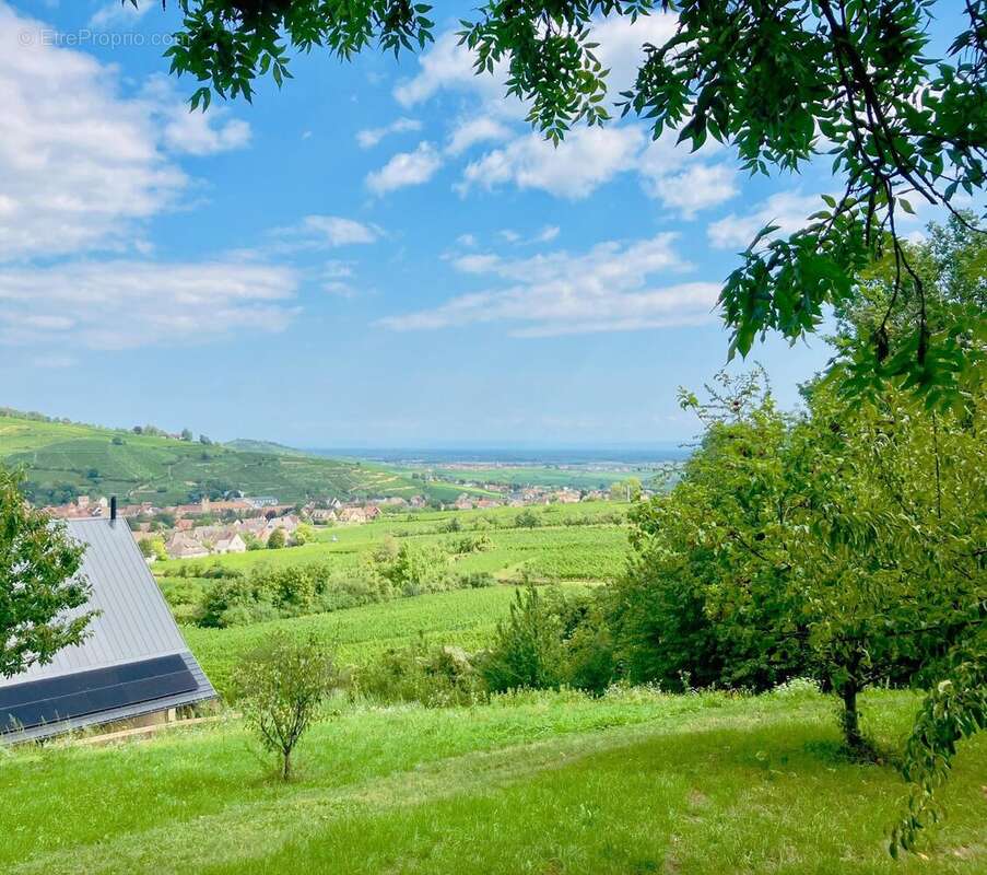 Photo 4 - Maison à RIBEAUVILLE