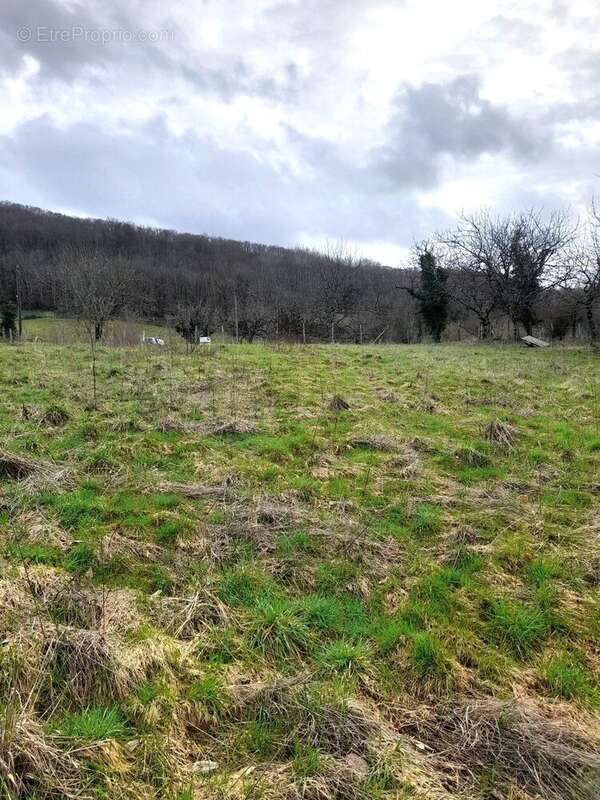 Terrain à MOURET