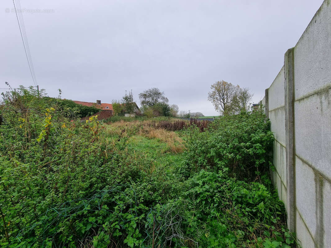 Terrain à LIENCOURT