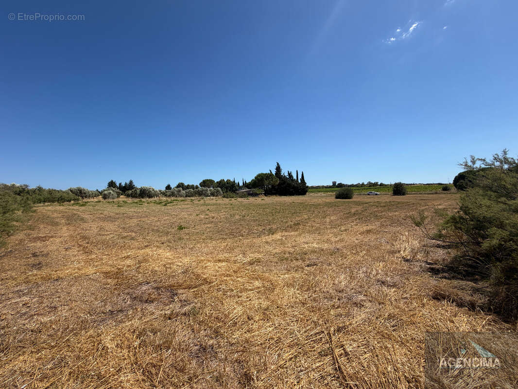 Terrain agricole de 4978m2 - photo 2