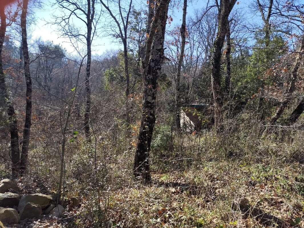 Terrain à LA BRUGUIERE