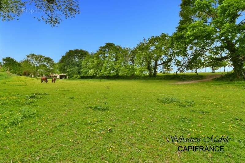 Maison à SAINT-AUBIN-DE-TERREGATTE