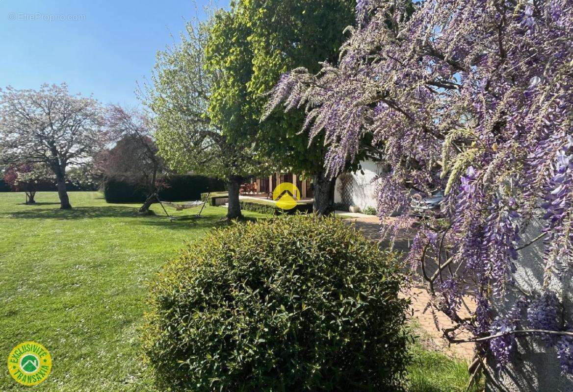 Maison à VILLEBOUGIS