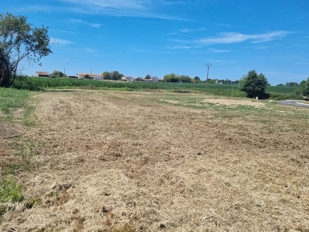 Terrain à LABETS-BISCAY