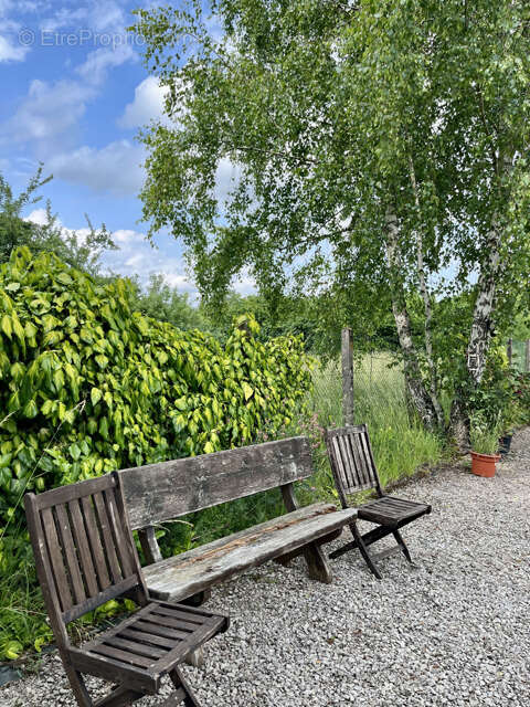 Terrain à SARREWERDEN