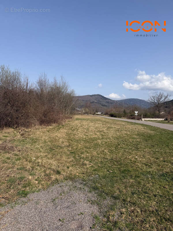 Terrain à PLANCHER-BAS