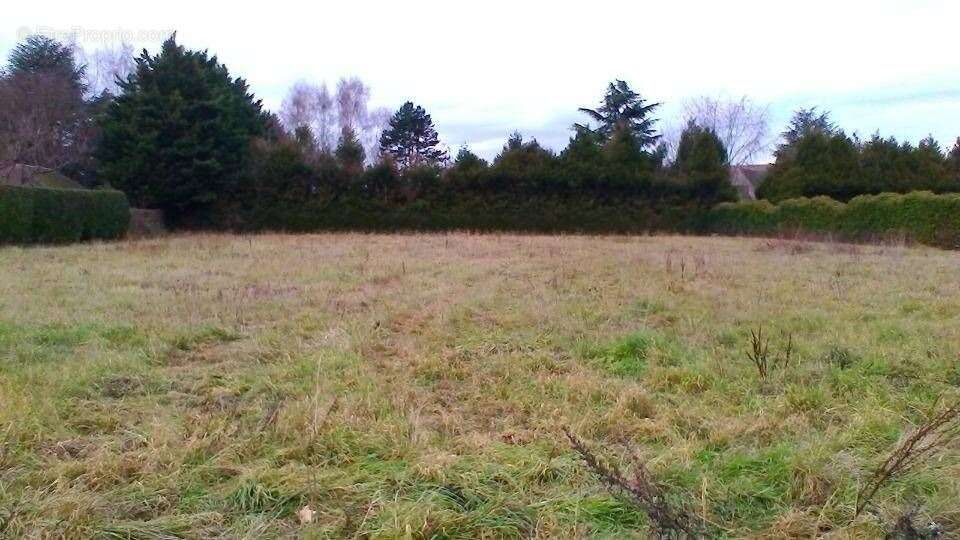 Terrain 232 m² à L'hay-Les-Roses  - photo 3
