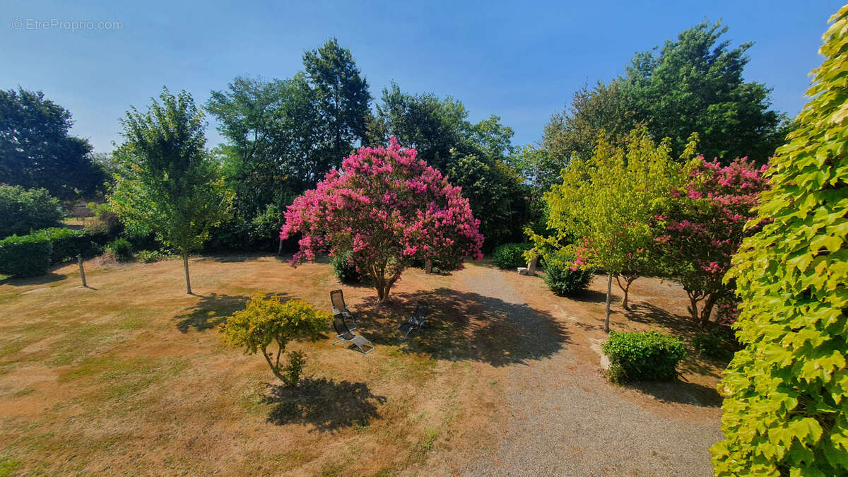 Maison de caractère pour famille avec enfants à Hagetmau - photo 16