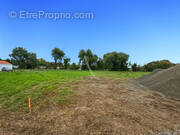 Terrain à NOTRE-DAME-DE-MONTS