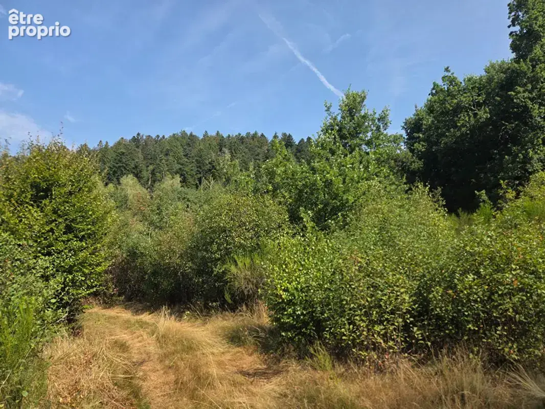 Terrain 16790 m2 - photo 4