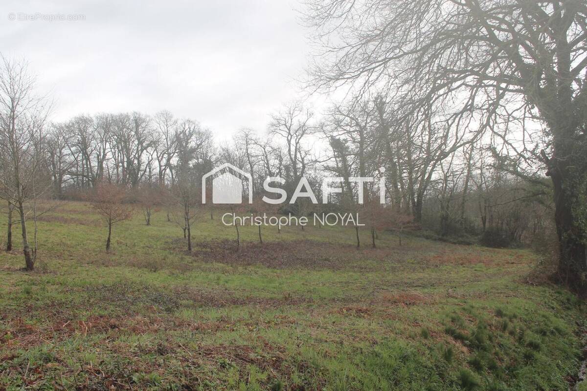 Photo 1 - Terrain à BOUMOURT