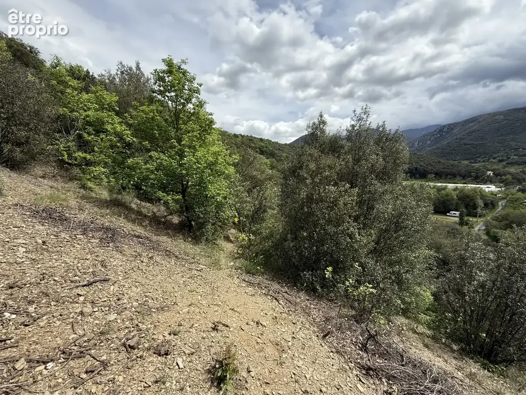 Reynes - terrain agricole - photo 3