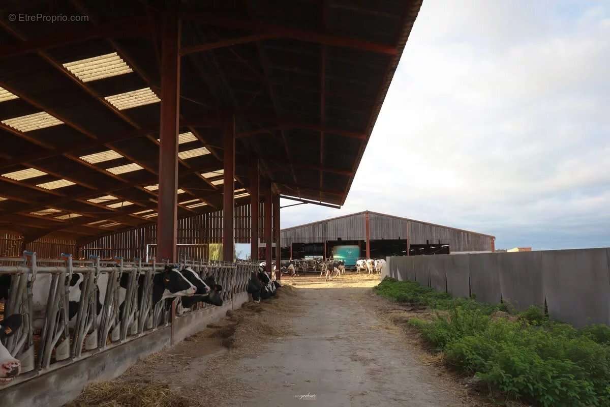 Maison à FRESNES-EN-WOEVRE