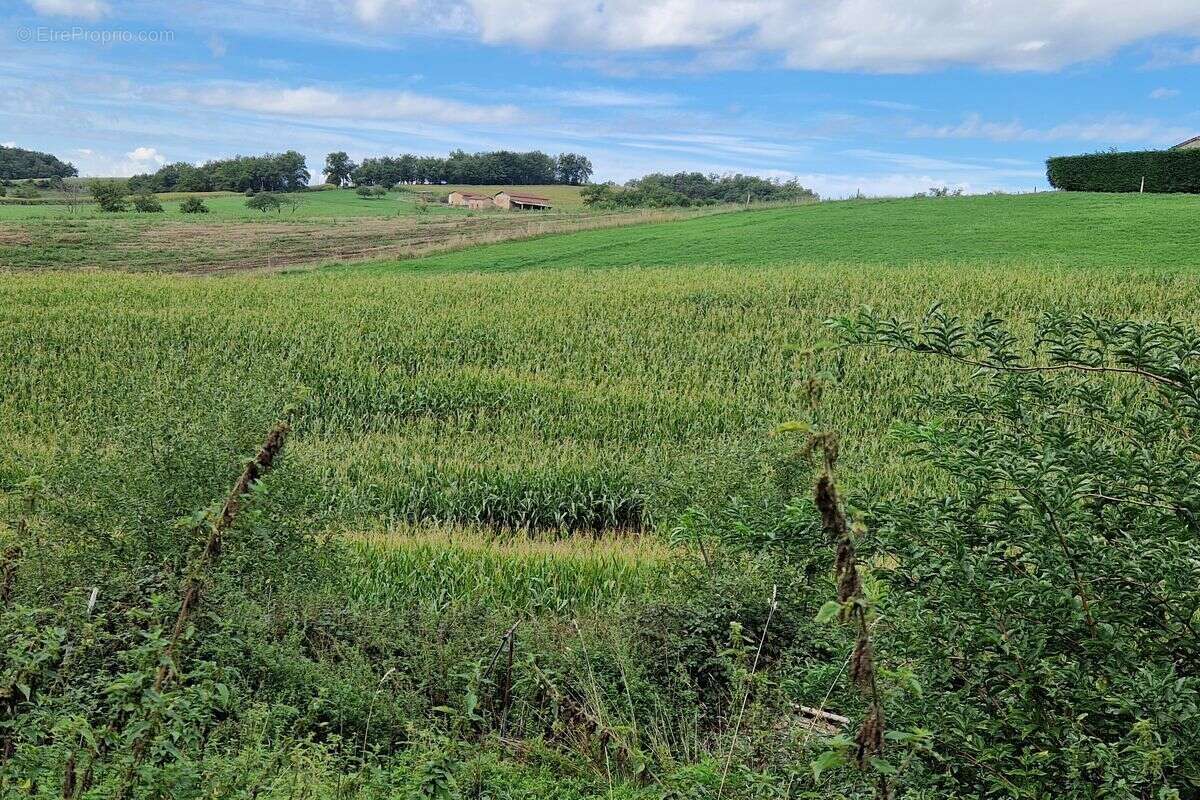 Maison à LES HALLES