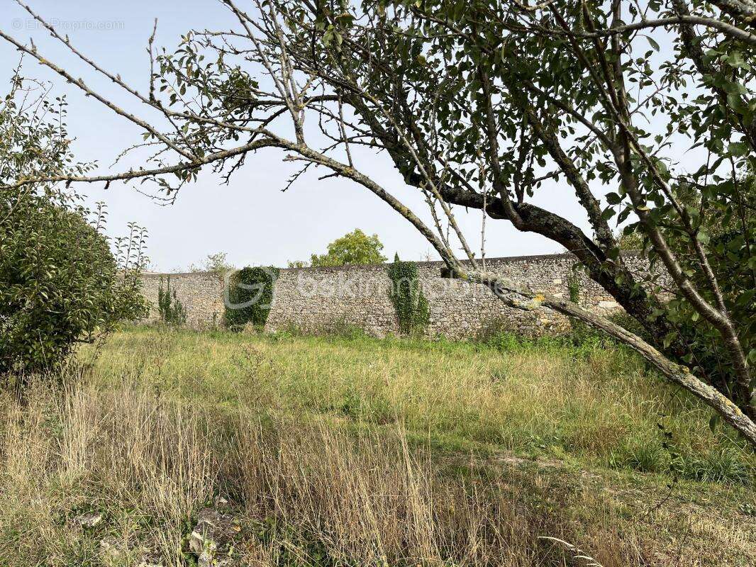 Terrain de 7084 m2 dont 600m2 constructible avec un plan d'eau - photo 2