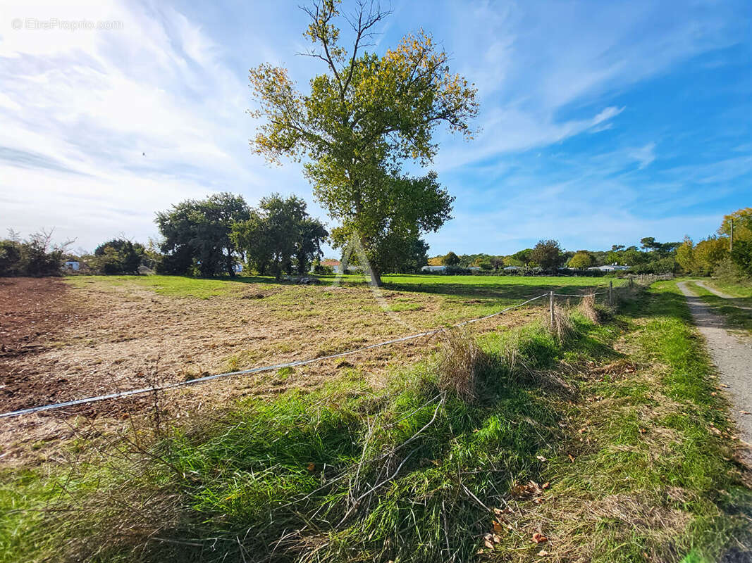 Terrain à NOTRE-DAME-DE-MONTS