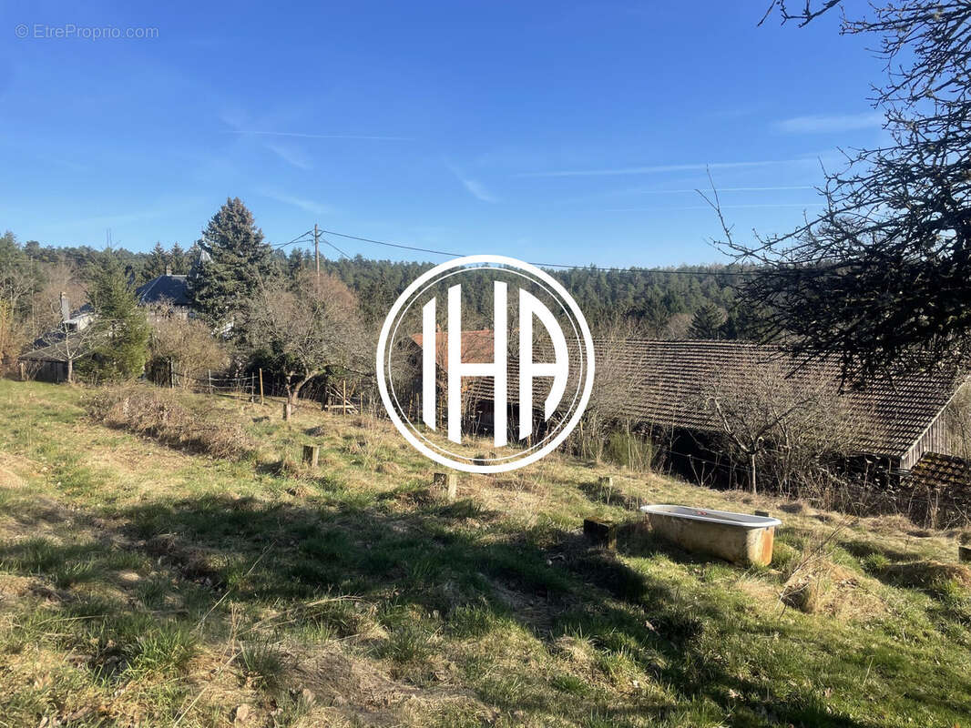 Terrain à THANNENKIRCH