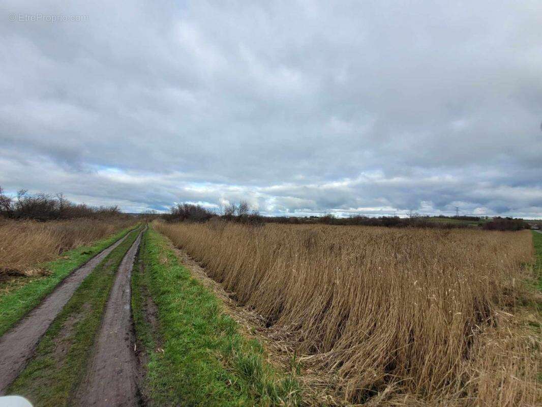 Terrain à SAINT-BONNET-SUR-GIRONDE