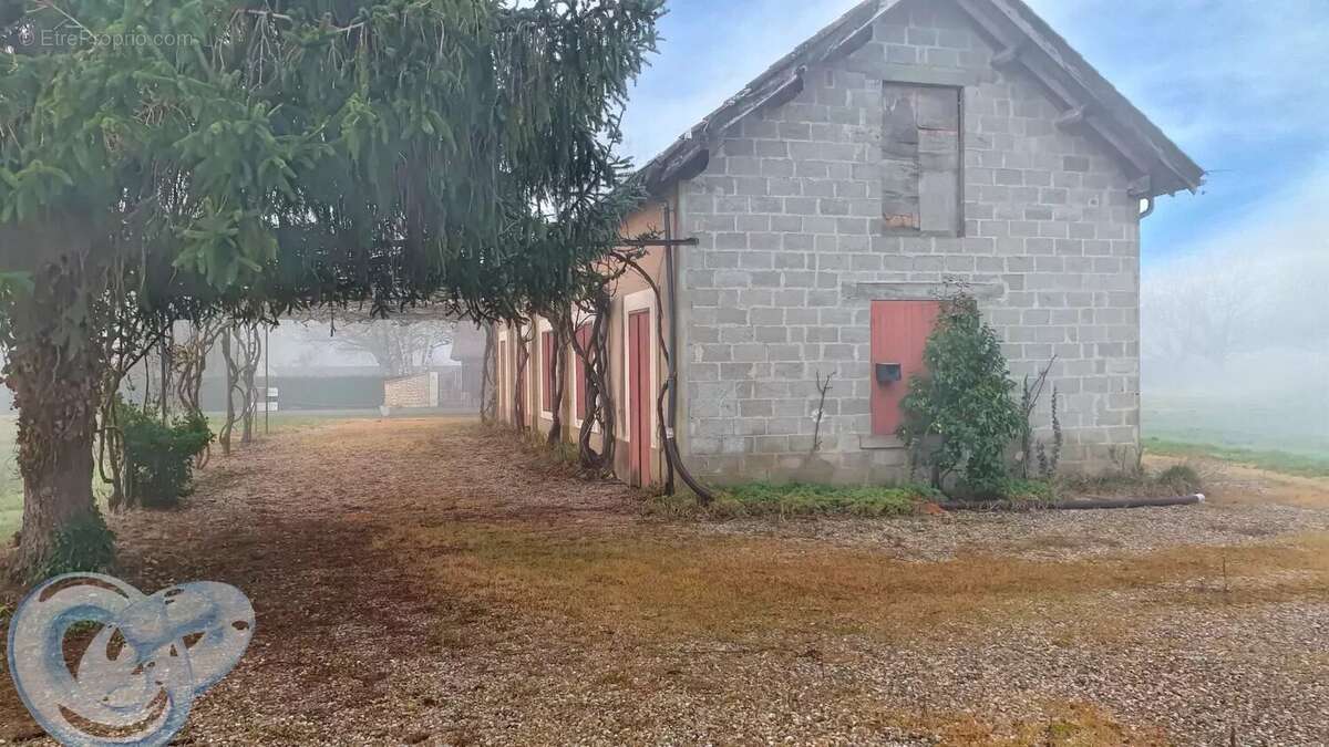 Commerce à BEYNAC-ET-CAZENAC