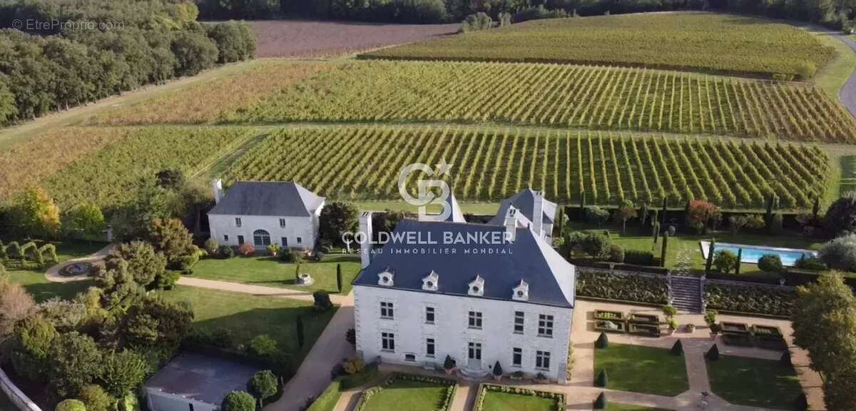 Manoir & vignoble aoc clos saumur - photo 5