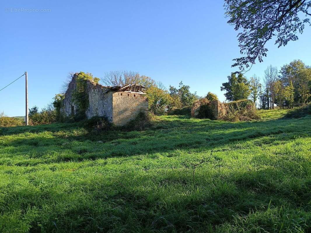 Terrain de 9582m² - photo 4