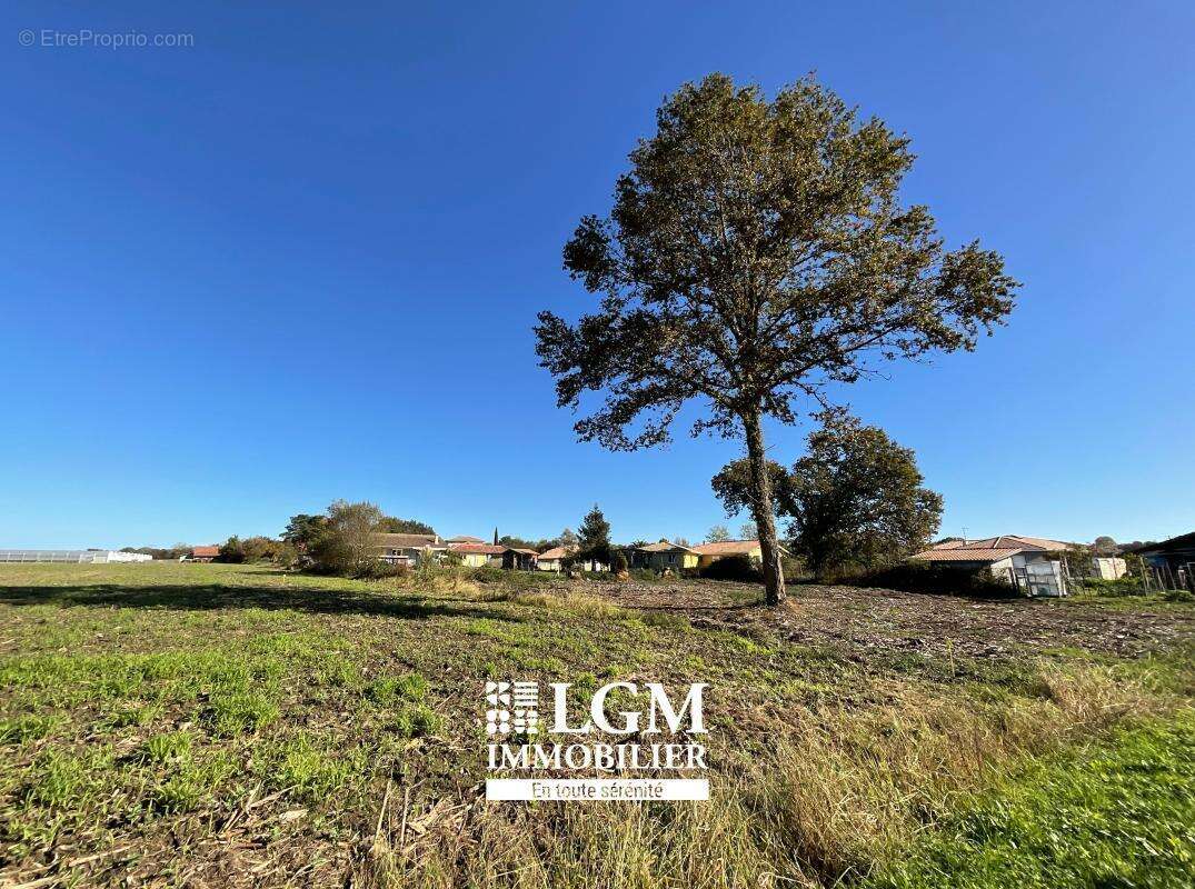 Terrain à SAINT-ETIENNE-D'ORTHE