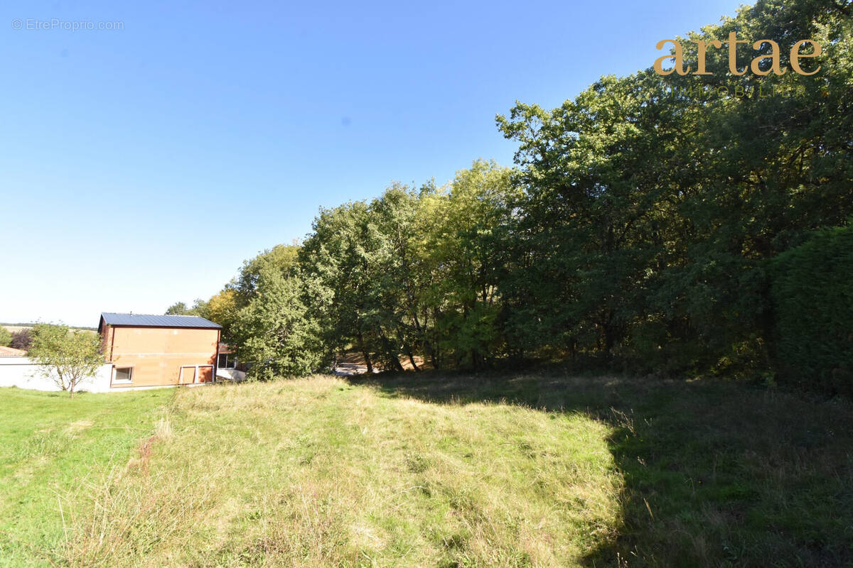 Terrain à SAINT-LYS