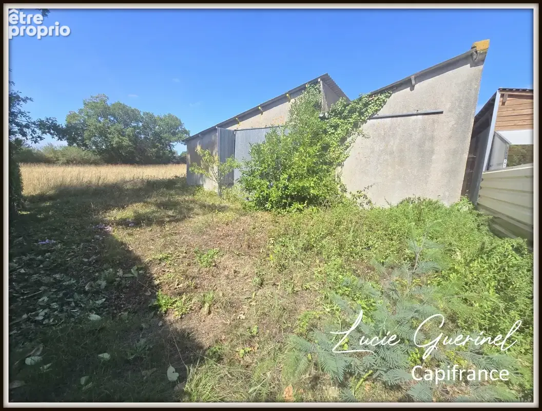 Bâtiment à vendre de 370 m² avec terrain de 703 m² – Martigné-Ferchaud (35) - photo 4
