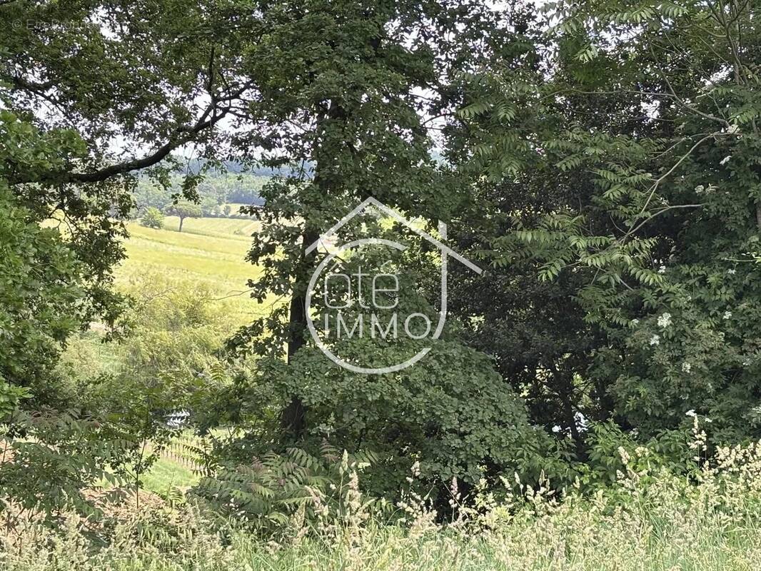 Sainte Colombe : Terrain à bâtir - 1165 m² - photo 3
